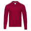 Рубашка поло StanPolo Бордовый с логотипом в Санкт-Петербурге заказать по выгодной цене в кибермаркете AvroraStore