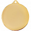Медаль Regalia, большая, золотистая с логотипом в Санкт-Петербурге заказать по выгодной цене в кибермаркете AvroraStore