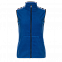 Жилет Жилет 28WN Синий с логотипом в Санкт-Петербурге заказать по выгодной цене в кибермаркете AvroraStore