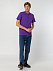 Рубашка поло мужская SUMMER 170, темно-фиолетовая с логотипом в Санкт-Петербурге заказать по выгодной цене в кибермаркете AvroraStore