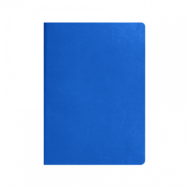 Ежедневник недатированный Tony, А5, глубокий синий, кремовый блок в клетку с логотипом в Санкт-Петербурге заказать по выгодной цене в кибермаркете AvroraStore