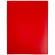 Папка с прижимом Expert, красная с логотипом в Санкт-Петербурге заказать по выгодной цене в кибермаркете AvroraStore