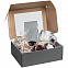 Коробка с окном Visible, серебристая с логотипом в Санкт-Петербурге заказать по выгодной цене в кибермаркете AvroraStore