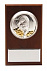 Плакетка малая «Тигр на монетах» с возможностью персонализации с логотипом в Санкт-Петербурге заказать по выгодной цене в кибермаркете AvroraStore