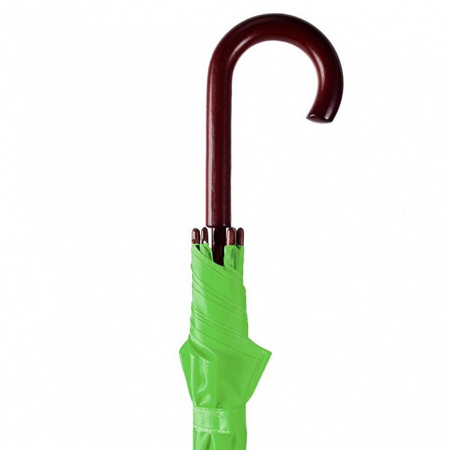 Зонт-трость Standard, зеленое яблоко с логотипом в Санкт-Петербурге заказать по выгодной цене в кибермаркете AvroraStore