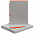 Набор Flexpen, серебристо-оранжевый с логотипом в Санкт-Петербурге заказать по выгодной цене в кибермаркете AvroraStore