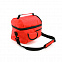 Термосумка BEMEL, красный, 25 x 24 x 15 см, полиэстер 600D с логотипом в Санкт-Петербурге заказать по выгодной цене в кибермаркете AvroraStore