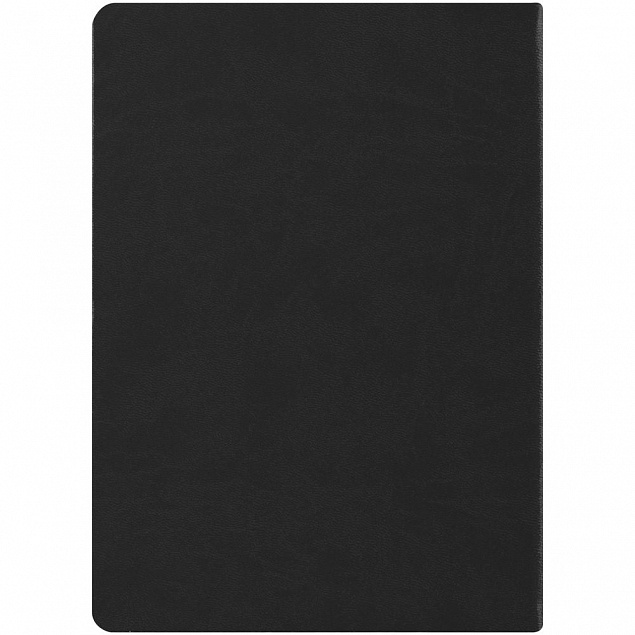 Ежедневник «По высшему разряду», недатированный, черный с логотипом в Санкт-Петербурге заказать по выгодной цене в кибермаркете AvroraStore