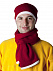 Шарф Leader, красно-белый с логотипом в Санкт-Петербурге заказать по выгодной цене в кибермаркете AvroraStore