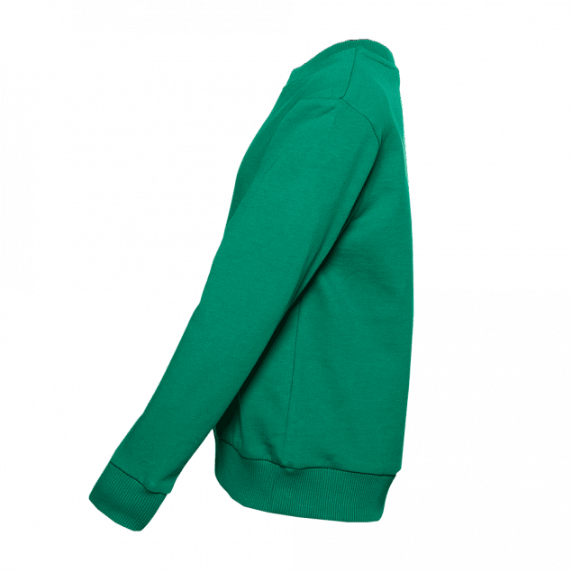 Толстовка  Зелёный с логотипом в Санкт-Петербурге заказать по выгодной цене в кибермаркете AvroraStore