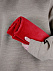 Флисовый плед Warm&Peace, красный с логотипом в Санкт-Петербурге заказать по выгодной цене в кибермаркете AvroraStore