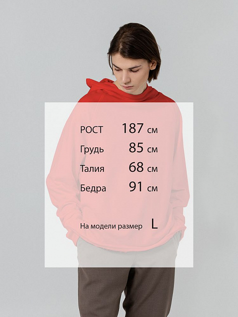 Худи Vozduh, красное с логотипом в Санкт-Петербурге заказать по выгодной цене в кибермаркете AvroraStore