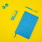Набор COLORSPRING: аккумулятор, ручка, бизнес-блокнот, коробка со стружкой, голубой/желтый с логотипом в Санкт-Петербурге заказать по выгодной цене в кибермаркете AvroraStore