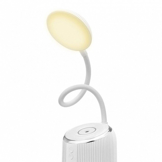 Led лампа и USB увлажнитель 2 в 1 Moon light с логотипом в Санкт-Петербурге заказать по выгодной цене в кибермаркете AvroraStore
