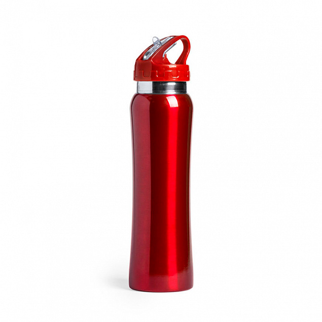 Бутылка для воды SMALY с трубочкой, нержавеющая сталь с логотипом в Санкт-Петербурге заказать по выгодной цене в кибермаркете AvroraStore