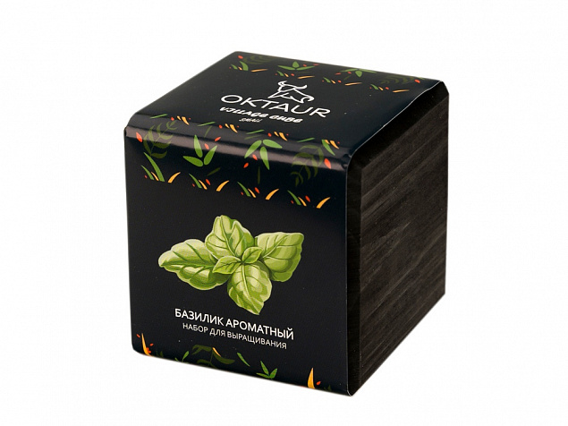 Набор для выращивания «Small village cube «Базилик ароматный» с логотипом в Санкт-Петербурге заказать по выгодной цене в кибермаркете AvroraStore