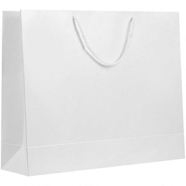 Пакет бумажный «Блеск», большой, белый с логотипом в Санкт-Петербурге заказать по выгодной цене в кибермаркете AvroraStore
