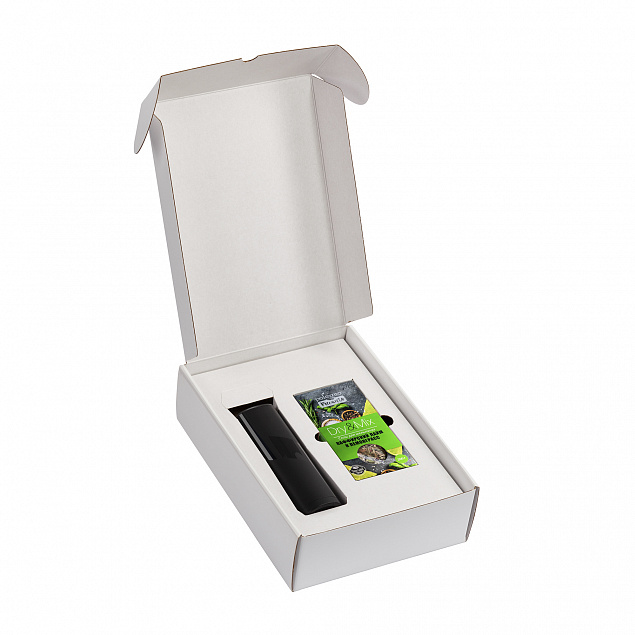 Набор "Модерн box" с логотипом в Санкт-Петербурге заказать по выгодной цене в кибермаркете AvroraStore