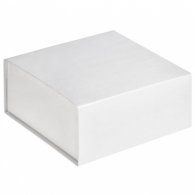 Коробка Amaze, белая с логотипом в Санкт-Петербурге заказать по выгодной цене в кибермаркете AvroraStore