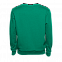 Толстовка  Зелёный с логотипом в Санкт-Петербурге заказать по выгодной цене в кибермаркете AvroraStore