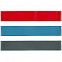 Набор эластичных лент для фитнеса Zen с логотипом в Санкт-Петербурге заказать по выгодной цене в кибермаркете AvroraStore