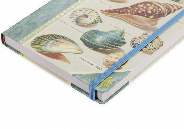 Книга для записей Shells с логотипом в Санкт-Петербурге заказать по выгодной цене в кибермаркете AvroraStore