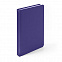 Ежедневник недатированный Duncan, А5,  фиолетовый, белый блок с логотипом в Санкт-Петербурге заказать по выгодной цене в кибермаркете AvroraStore