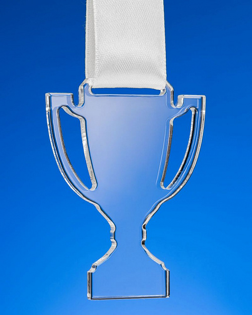 Награда Cup Medal с логотипом в Санкт-Петербурге заказать по выгодной цене в кибермаркете AvroraStore