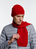 Шарф Siver, красный с логотипом в Санкт-Петербурге заказать по выгодной цене в кибермаркете AvroraStore