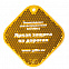 Светоотражатель «Квадрат», оранжевый с логотипом в Санкт-Петербурге заказать по выгодной цене в кибермаркете AvroraStore