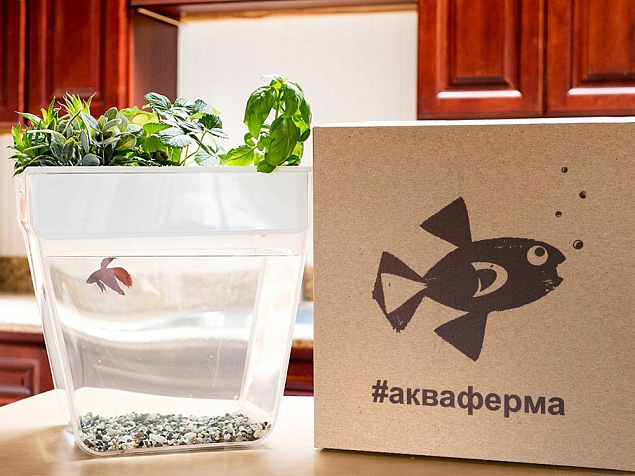 Набор для выращивания растений и ухода за рыбкой Акваферма с логотипом в Санкт-Петербурге заказать по выгодной цене в кибермаркете AvroraStore