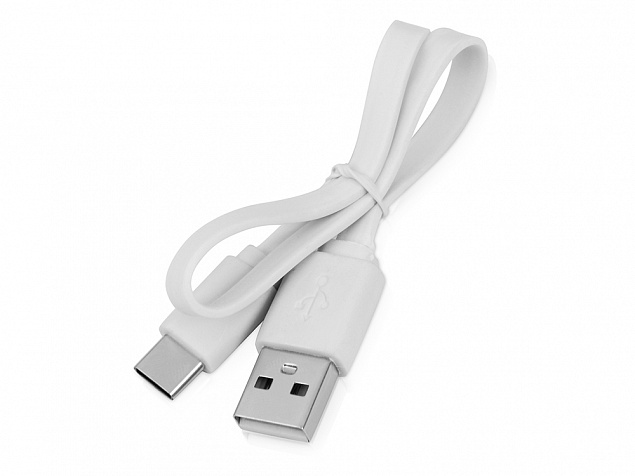 Кабель USB 2.0 A - USB Type-C с логотипом в Санкт-Петербурге заказать по выгодной цене в кибермаркете AvroraStore