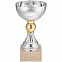 Кубок Grail, серебристый с логотипом в Санкт-Петербурге заказать по выгодной цене в кибермаркете AvroraStore