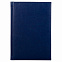 Ежедневник Birmingham, А5, датированный (2022 г.), синий с логотипом в Санкт-Петербурге заказать по выгодной цене в кибермаркете AvroraStore