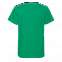 Футболка детская STAN хлопок 140, 06U Зелёный с логотипом в Санкт-Петербурге заказать по выгодной цене в кибермаркете AvroraStore