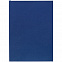 Ежедневник Flat, недатированный, синий с логотипом в Санкт-Петербурге заказать по выгодной цене в кибермаркете AvroraStore