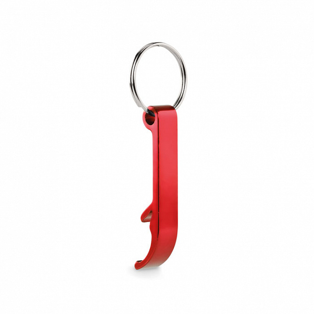 Кольцо для ключей из переработа с логотипом в Санкт-Петербурге заказать по выгодной цене в кибермаркете AvroraStore