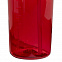 Спортивная бутылка TR Bottle, красная с логотипом в Санкт-Петербурге заказать по выгодной цене в кибермаркете AvroraStore