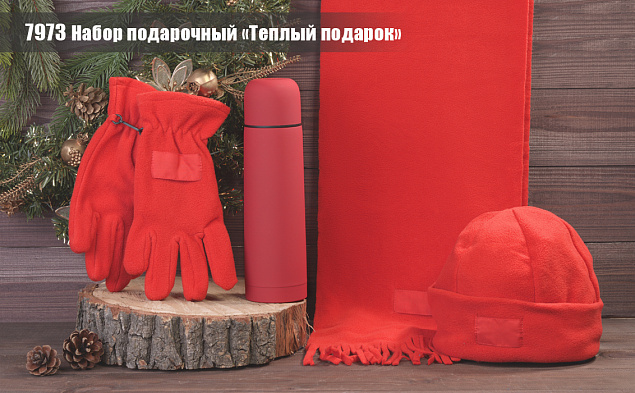 Набор подарочный "Теплый подарок" с логотипом в Санкт-Петербурге заказать по выгодной цене в кибермаркете AvroraStore