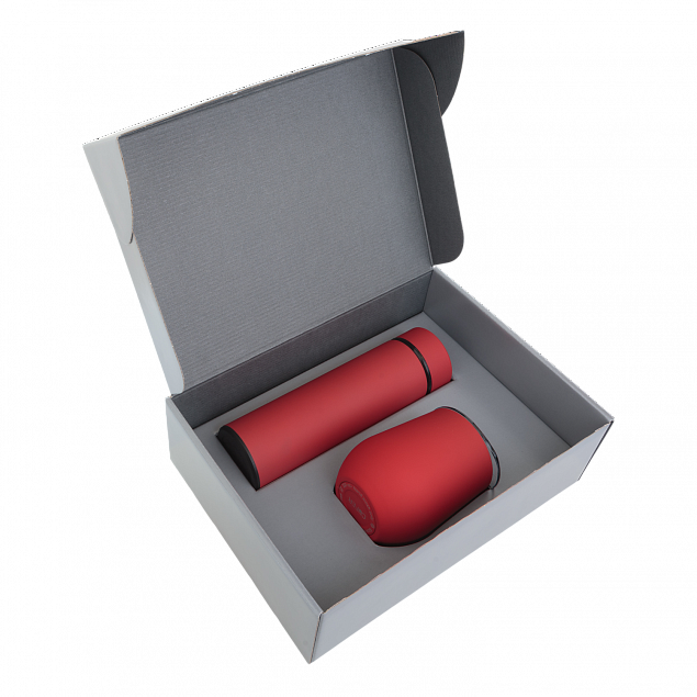 Набор Hot Box CS grey (красный) с логотипом в Санкт-Петербурге заказать по выгодной цене в кибермаркете AvroraStore