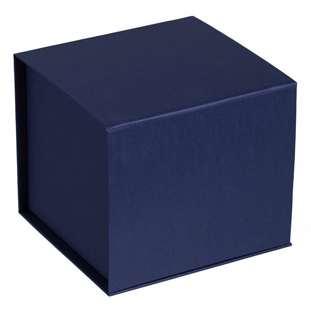 Коробка Alian, синяя с логотипом в Санкт-Петербурге заказать по выгодной цене в кибермаркете AvroraStore