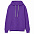 Толстовка с капюшоном Kirenga Heavy, фиолетовая с логотипом в Санкт-Петербурге заказать по выгодной цене в кибермаркете AvroraStore