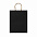 Пакет бумажный ROBLE, Черный с логотипом в Санкт-Петербурге заказать по выгодной цене в кибермаркете AvroraStore
