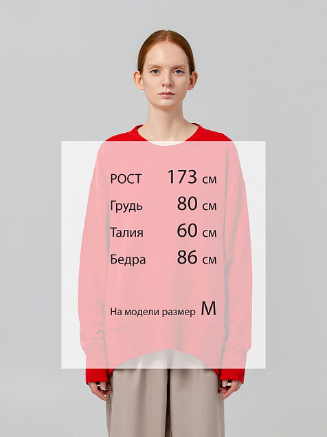 Свитшот Kosmos, красный с логотипом в Санкт-Петербурге заказать по выгодной цене в кибермаркете AvroraStore
