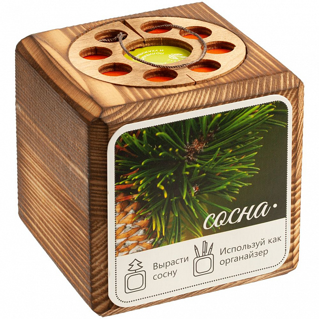 Набор для выращивания с органайзером «Экокуб Burn», сосна с логотипом в Санкт-Петербурге заказать по выгодной цене в кибермаркете AvroraStore