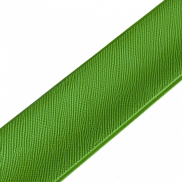 Браслет Wristler, зеленый с логотипом в Санкт-Петербурге заказать по выгодной цене в кибермаркете AvroraStore