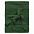 Плед Pleat, зеленый с логотипом в Санкт-Петербурге заказать по выгодной цене в кибермаркете AvroraStore