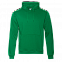 Толстовка Толстовка 20 Зелёный с логотипом в Санкт-Петербурге заказать по выгодной цене в кибермаркете AvroraStore