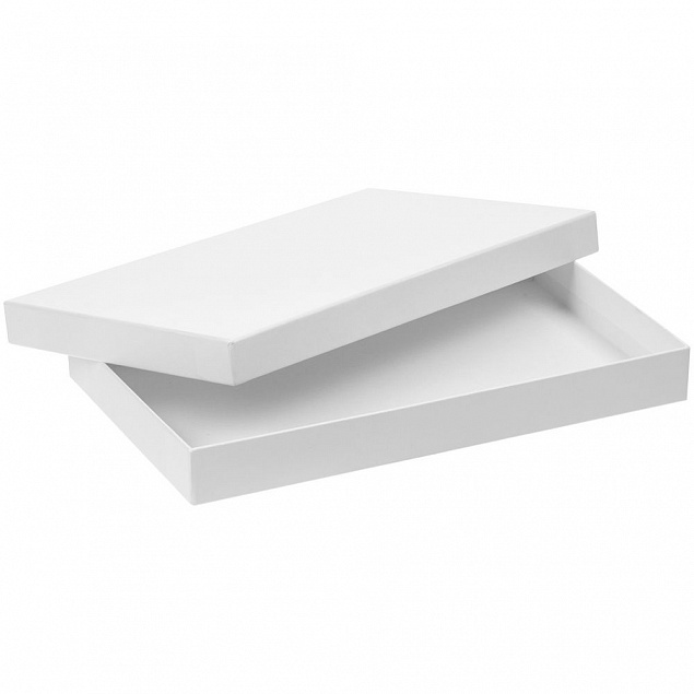 Коробка Horizon, белая с логотипом в Санкт-Петербурге заказать по выгодной цене в кибермаркете AvroraStore