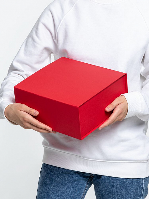 Коробка Amaze, красная с логотипом в Санкт-Петербурге заказать по выгодной цене в кибермаркете AvroraStore